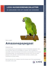 huisdierenbijsluiter amazonepapegaai